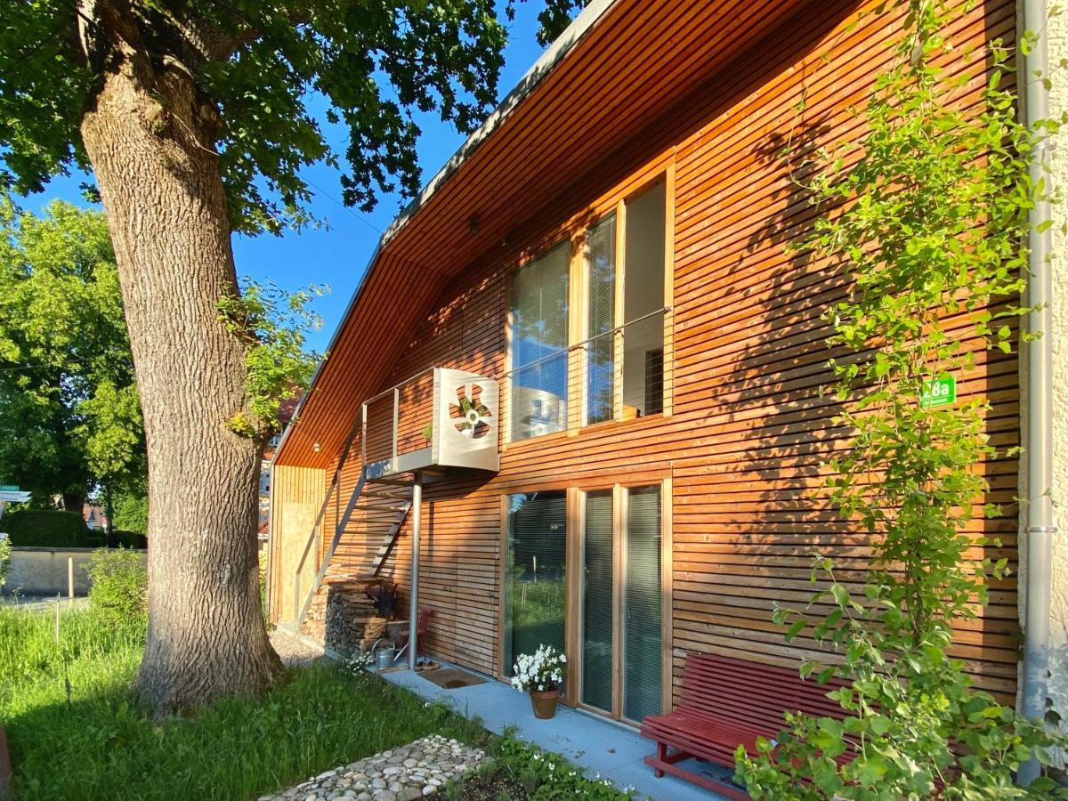 Loft Mit Dachterrasse Apartment Bernau am Chiemsee Exterior photo