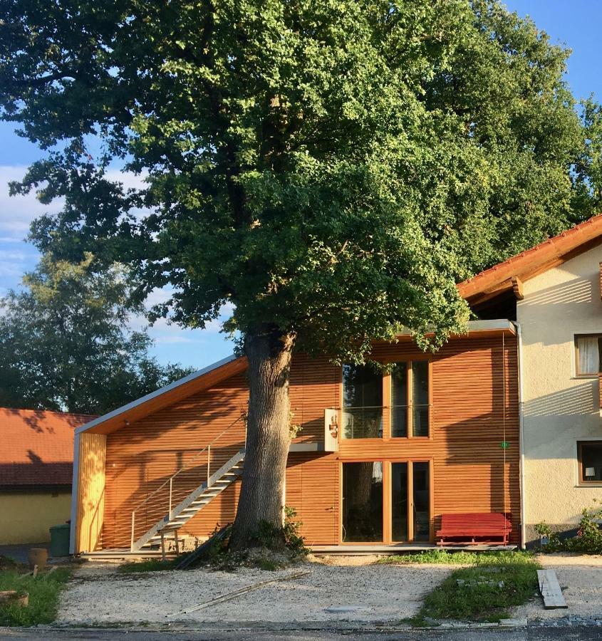 Loft Mit Dachterrasse Apartment Bernau am Chiemsee Exterior photo